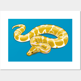 Burmese python snake cartoon illustration Posters and Art